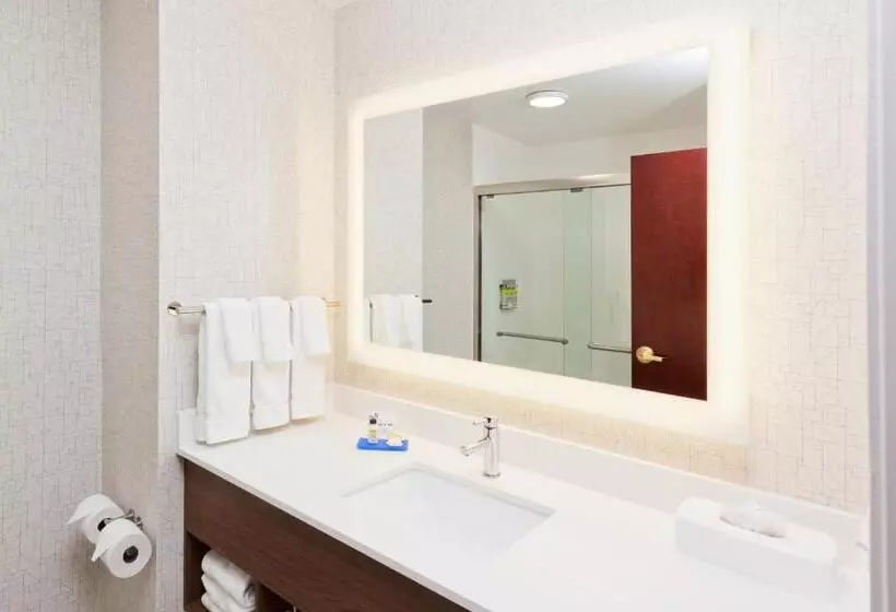 キングサイズベッドのスタンダードルーム, Holiday Inn Express Hotel & Suites Dothan North, An Ihg