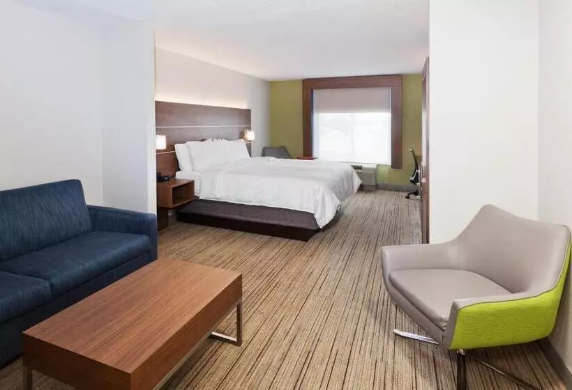 キングサイズベッドのスイートルーム, Holiday Inn Express Hotel & Suites Dothan North, An Ihg
