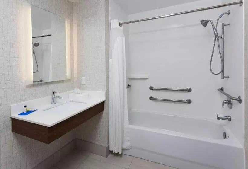 身障者適用スイートルーム, Holiday Inn Express Hotel & Suites Dothan North, An Ihg