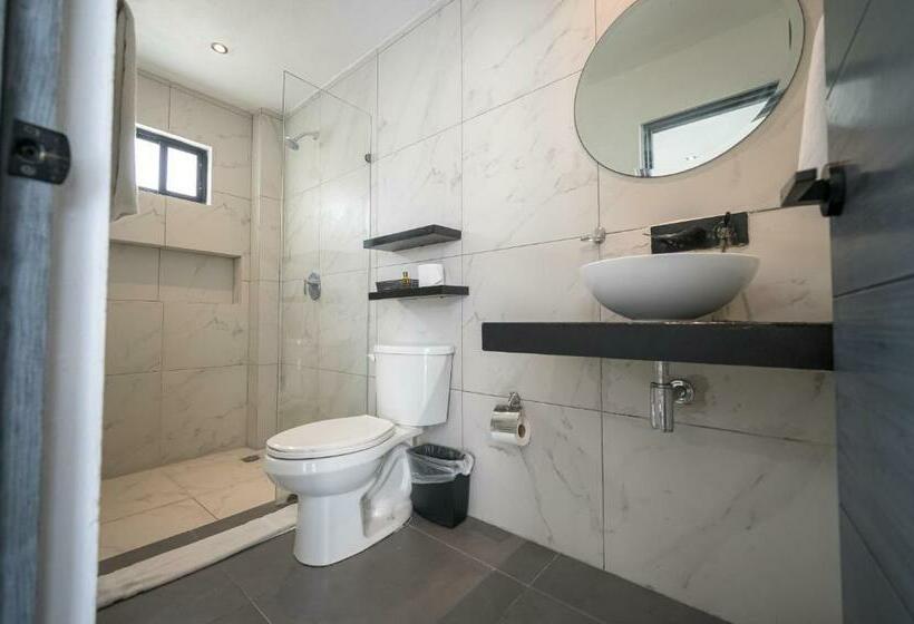 Номер Стандарт, Aruma