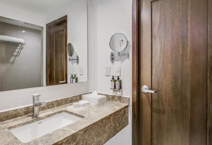 Номер Superior, Fiesta Inn Insurgentes Sur