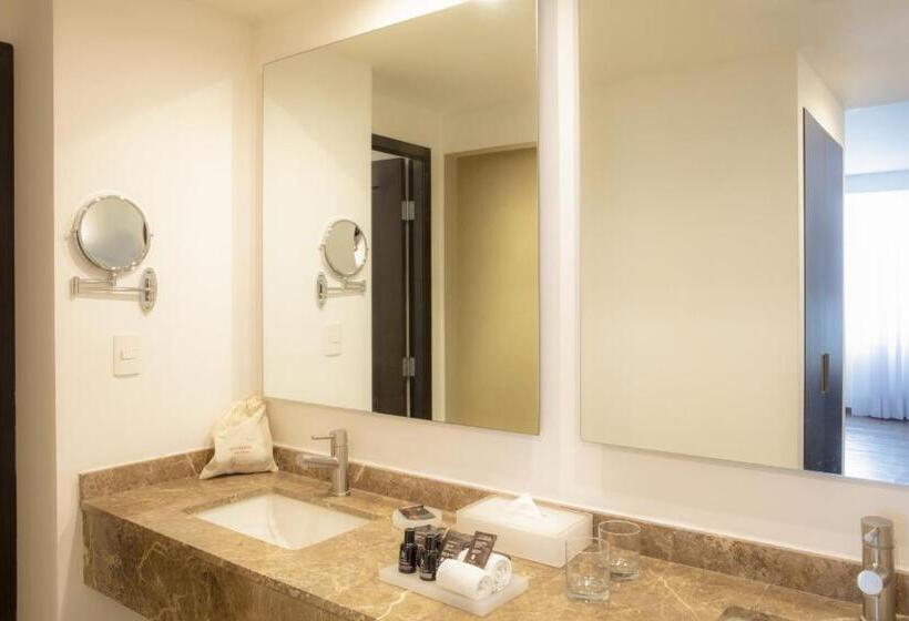 Полулюкс, Fiesta Inn Insurgentes Sur