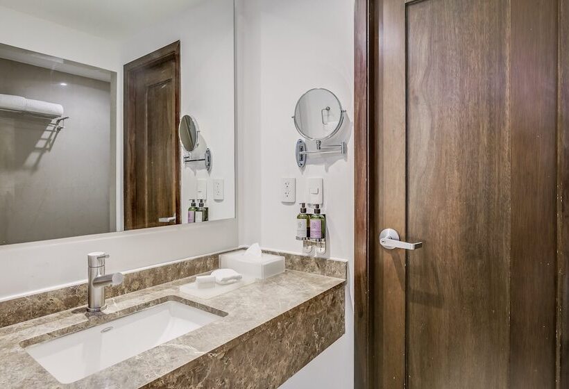 Номер Superior, Fiesta Inn Insurgentes Sur