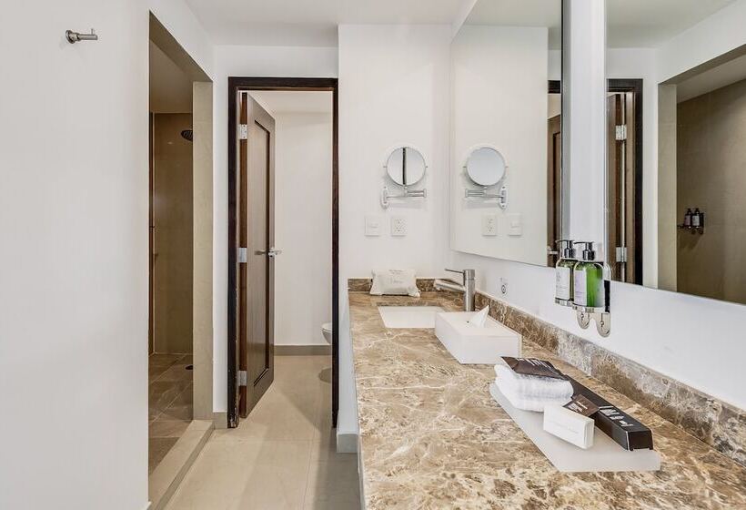 Полулюкс, Fiesta Inn Insurgentes Sur