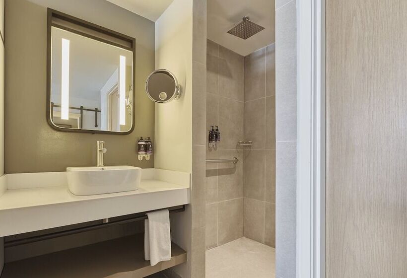 Полулюкс, Fiesta Inn Insurgentes Sur