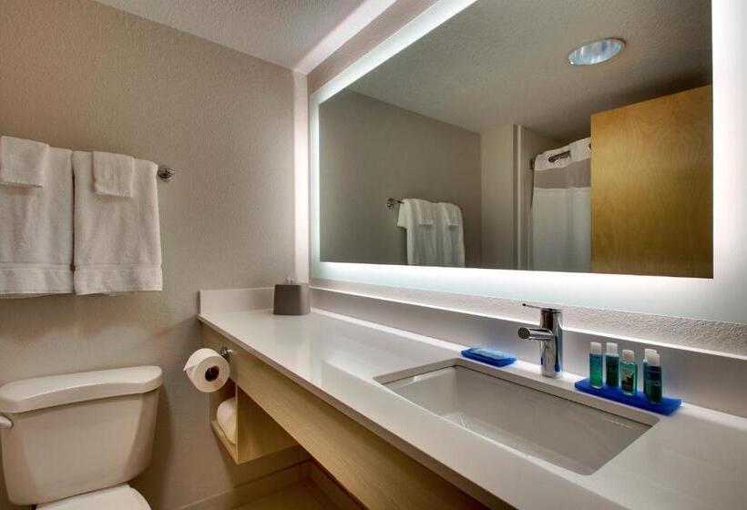 חדר סטנדרט עם מיטת קינג, Holiday Inn Express Hotel & Suites Cedar Rapids I 380 At 33rd Avenue, An Ihg