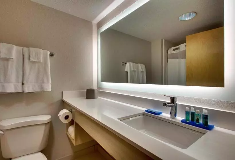 اتاق استاندارد با تخت بزرگ, Holiday Inn Express Hotel & Suites Cedar Rapids I 380 At 33rd Avenue, An Ihg
