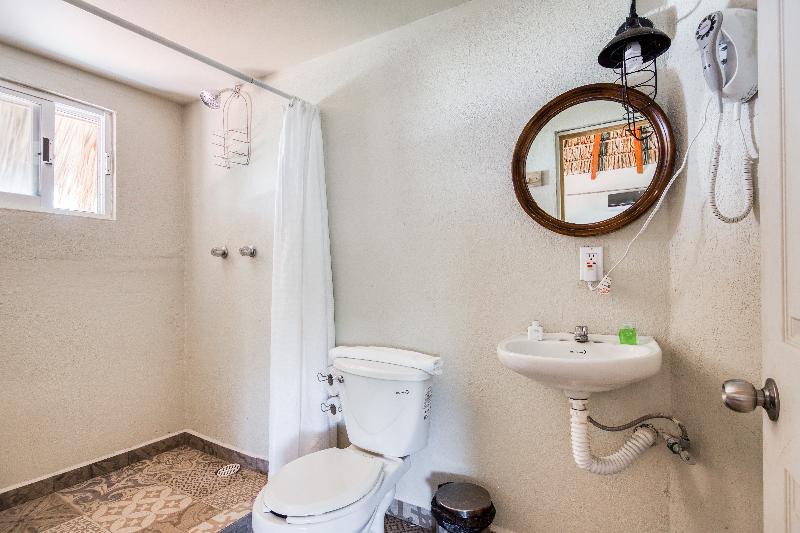 اتاق استاندارد, Holiday Inn Express Hotel & Suites Dothan North, An Ihg