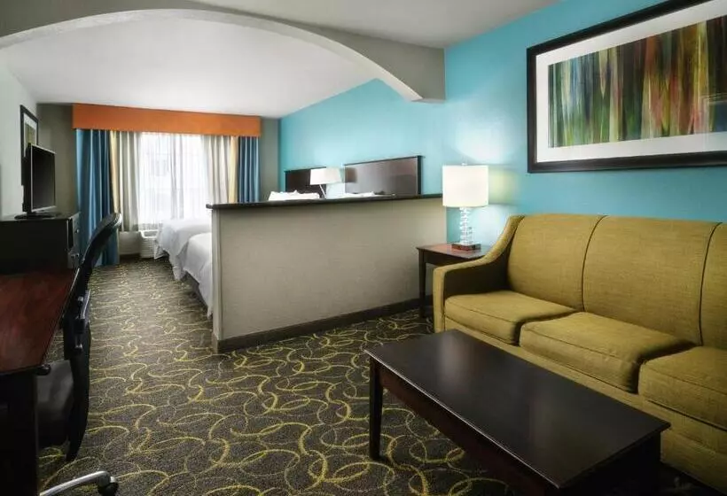 سوئیت اجرایی با تخت کینگ, Holiday Inn Express Hotel And Suites Dfw Grapevine, An Ihg