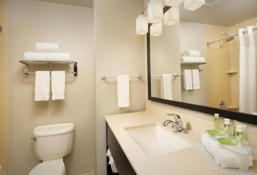 이그제큐티브 스위트 킹침대, Holiday Inn Express Hotel And Suites Dfw Grapevine, An Ihg