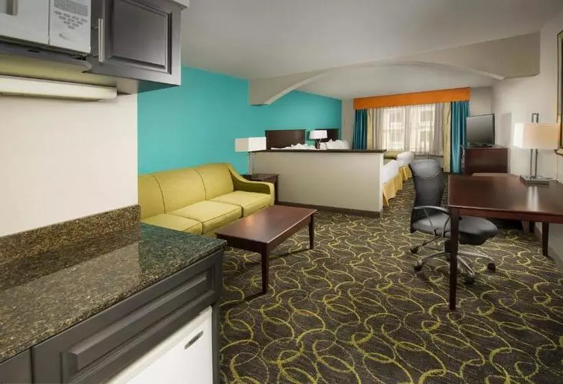 سوئیت اجرایی با تخت کینگ, Holiday Inn Express Hotel And Suites Dfw Grapevine, An Ihg