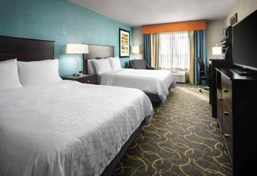 سوئیت اجرایی با تخت کینگ, Holiday Inn Express Hotel And Suites Dfw Grapevine, An Ihg