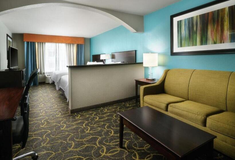 带双人大床的行政管理套房, Holiday Inn Express Hotel And Suites Dfw Grapevine, An Ihg