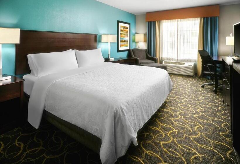 장애인을 위한 킹사이즈 침대 스탠다드 룸, Holiday Inn Express Hotel And Suites Dfw Grapevine, An Ihg