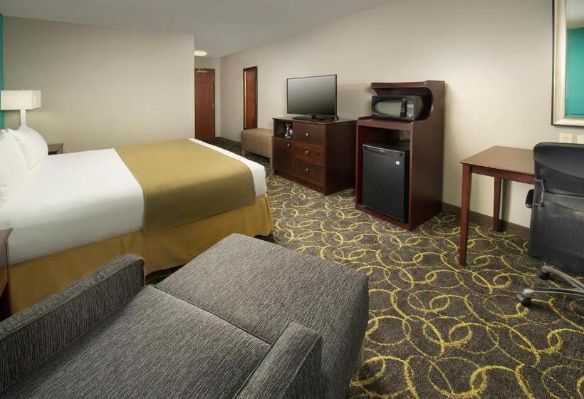 장애인을 위한 킹사이즈 침대 스탠다드 룸, Holiday Inn Express Hotel And Suites Dfw Grapevine, An Ihg