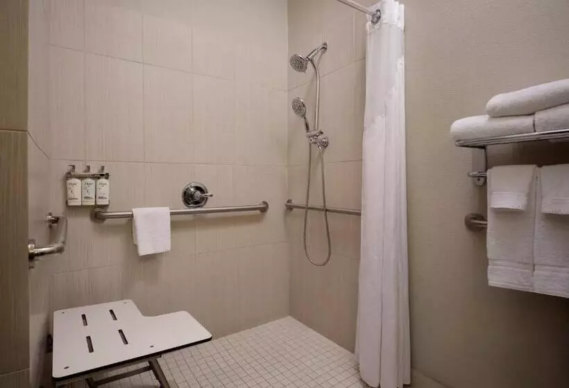 اتاق استاندارد با تخت بزرگ برای معلولان, Holiday Inn Express Hotel And Suites Dfw Grapevine, An Ihg