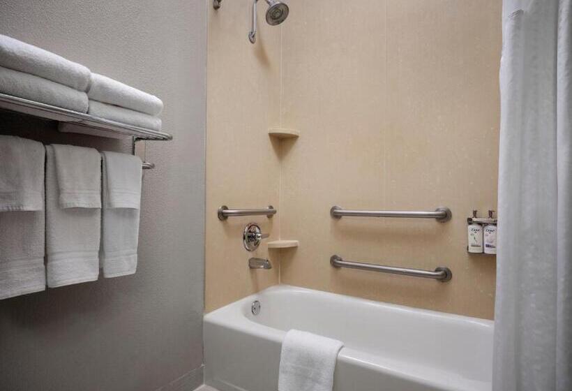 适合残疾人使用的标准间, Holiday Inn Express Hotel And Suites Dfw Grapevine, An Ihg