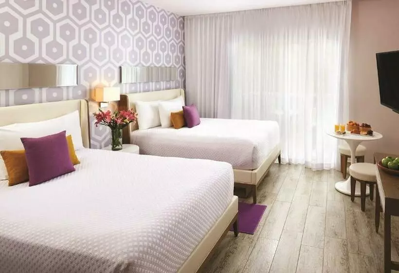 1 Bedroom Penthouse Apartment