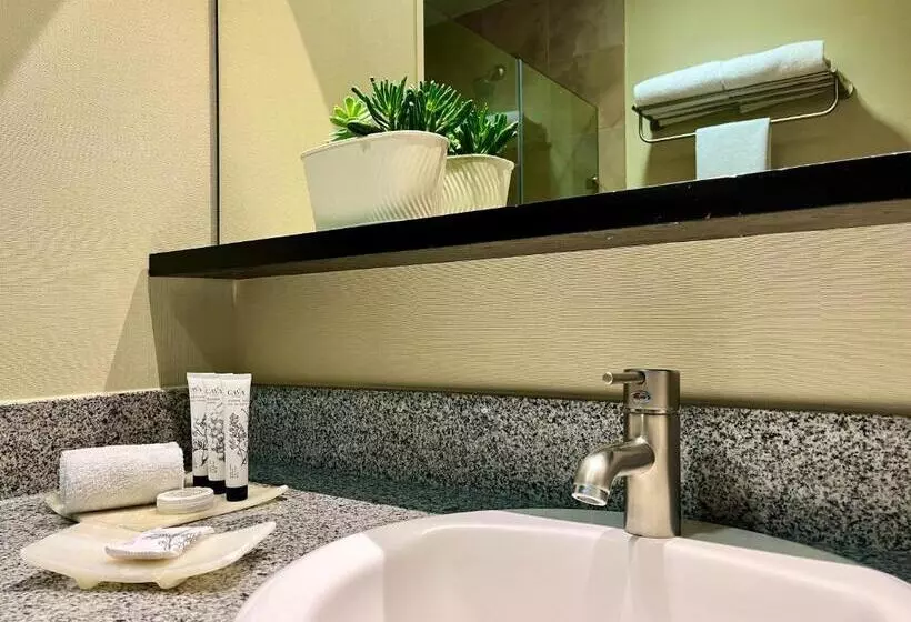 キングサイズベッドのデラックスルーム, Stadia Suites Mexico City Santa Fe