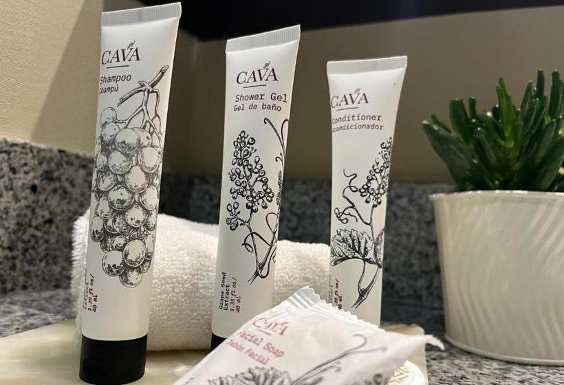 اتاق لوکس با تخت بزرگ, Stadia Suites Mexico City Santa Fe