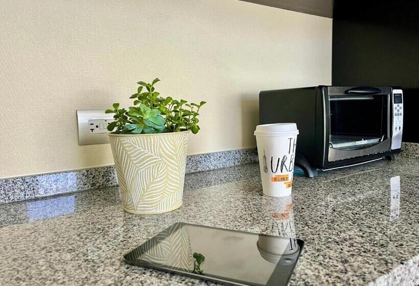 اتاق لوکس با چشم‌انداز شهر, Stadia Suites Mexico City Santa Fe