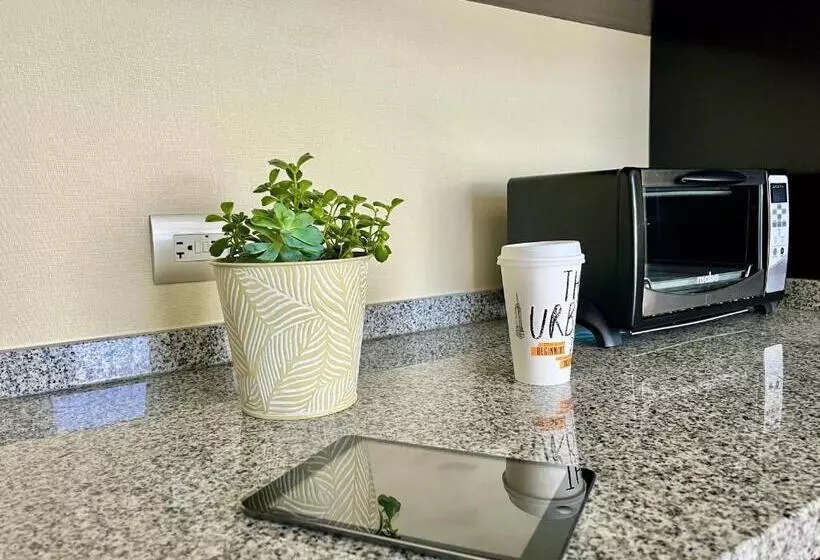 シティビューのデラックスルーム, Stadia Suites Mexico City Santa Fe