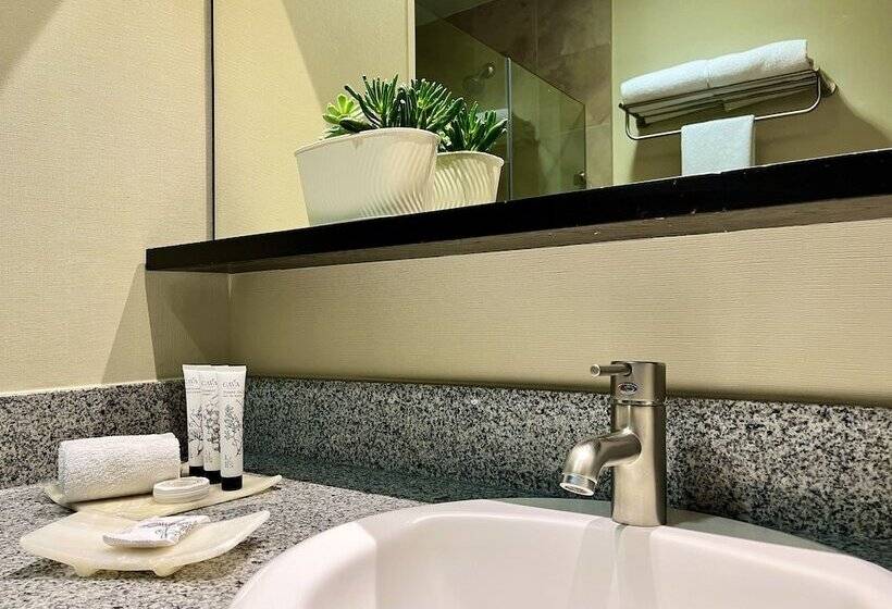 اتاق لوکس, Stadia Suites Mexico City Santa Fe