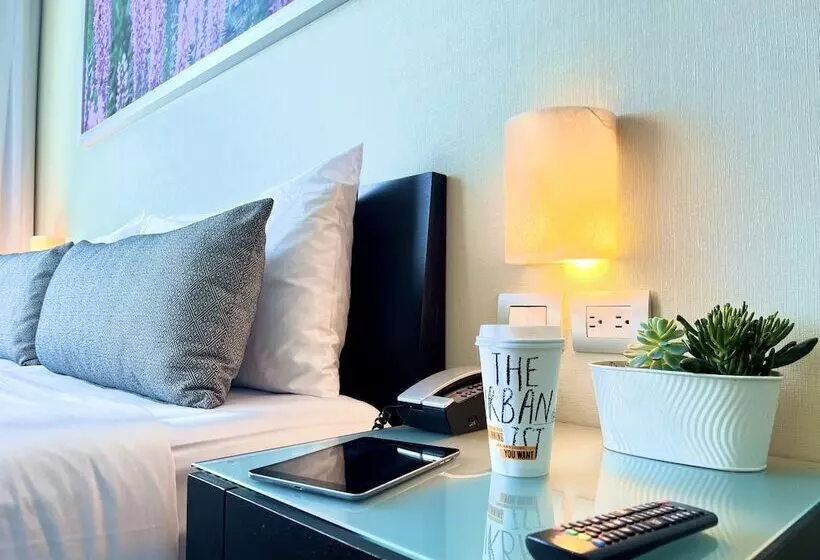 デラックスルーム, Stadia Suites Mexico City Santa Fe