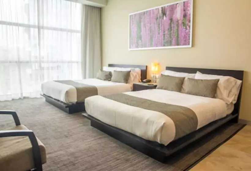 デラックスルーム, Stadia Suites Mexico City Santa Fe