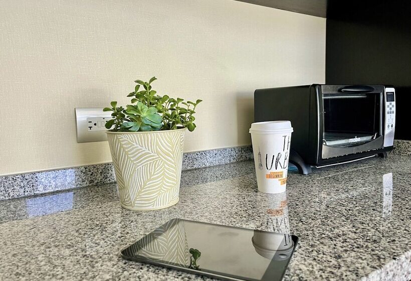 اتاق لوکس با چشم‌انداز شهر, Stadia Suites Mexico City Santa Fe