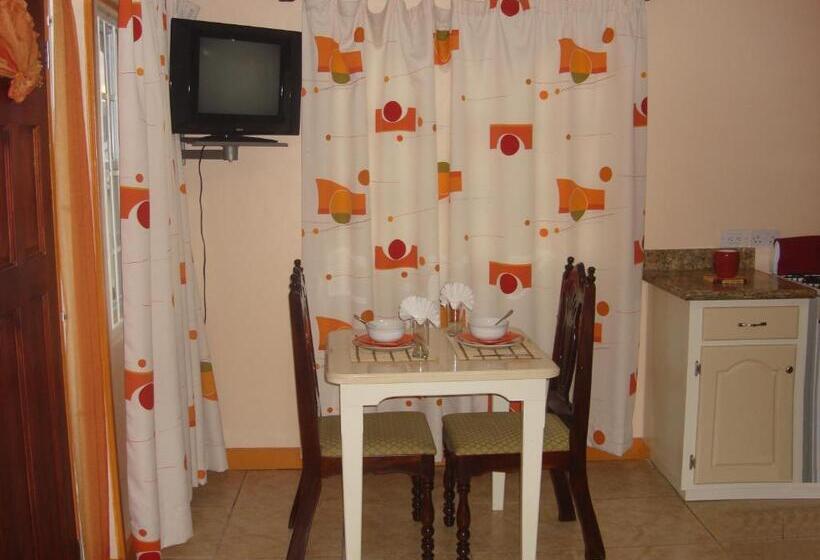 استودیوی استاندارد, Bayside Villa St. Lucia