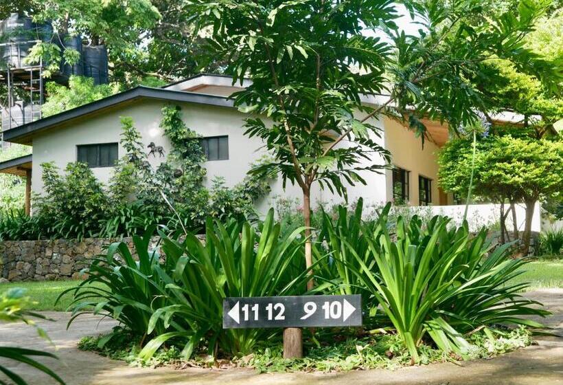 스탠다드 룸 가든 전망, Arusha Villa Karamu Coffee Estate