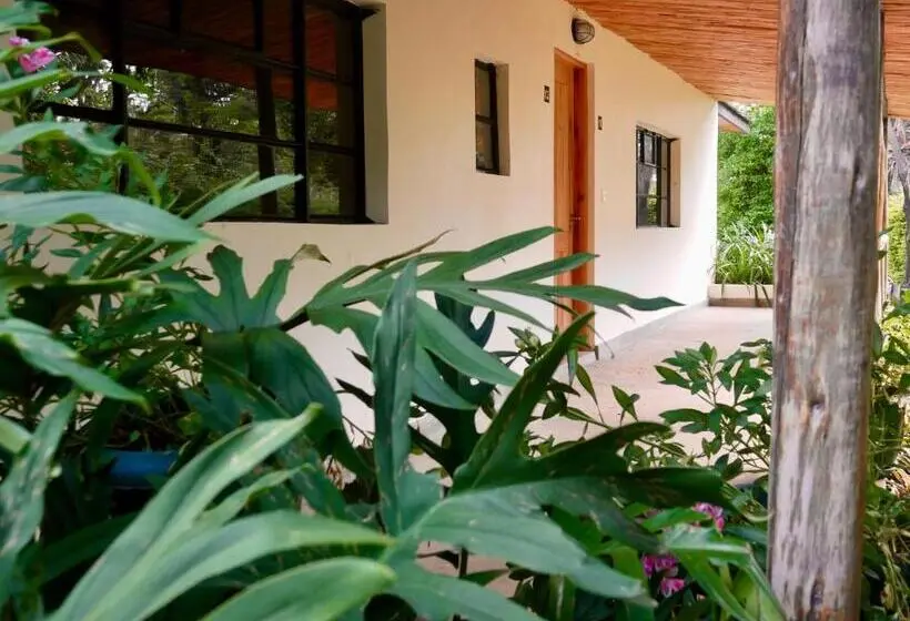 ガーデンビュースタンダードルーム, Arusha Villa Karamu Coffee Estate