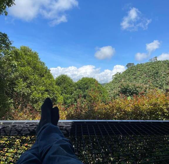 샬레, Gulupa Ecolodge