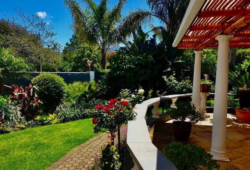 标准房带园景, Bollinger Guest House