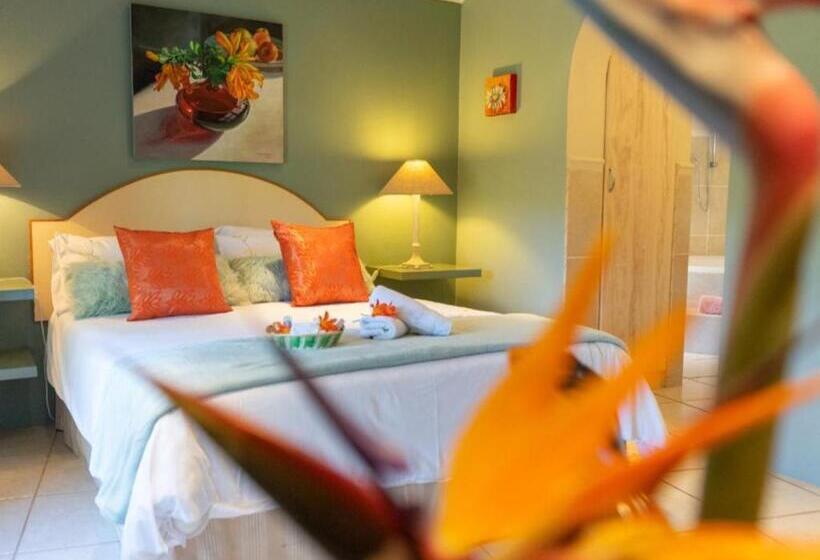 标准房带园景, Bollinger Guest House