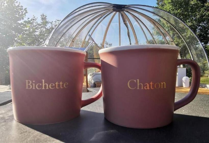 テラス付きスタンダードルーム, Maison D Hôtes Casa Sana