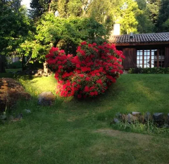 اتاق استاندارد, Los Abetos B&b 4