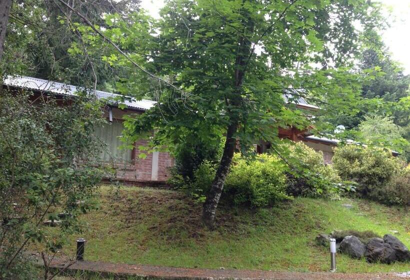 Номер Стандарт, Los Abetos B&b 4