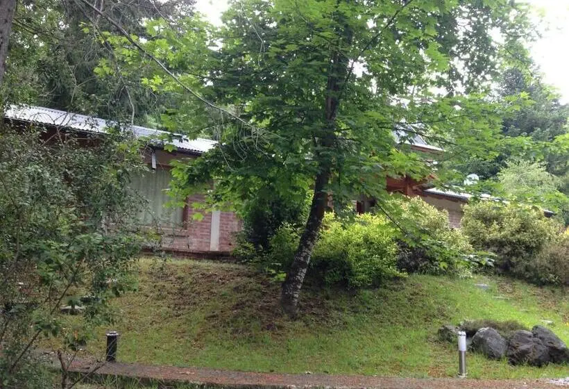 اتاق استاندارد, Los Abetos B&b 4