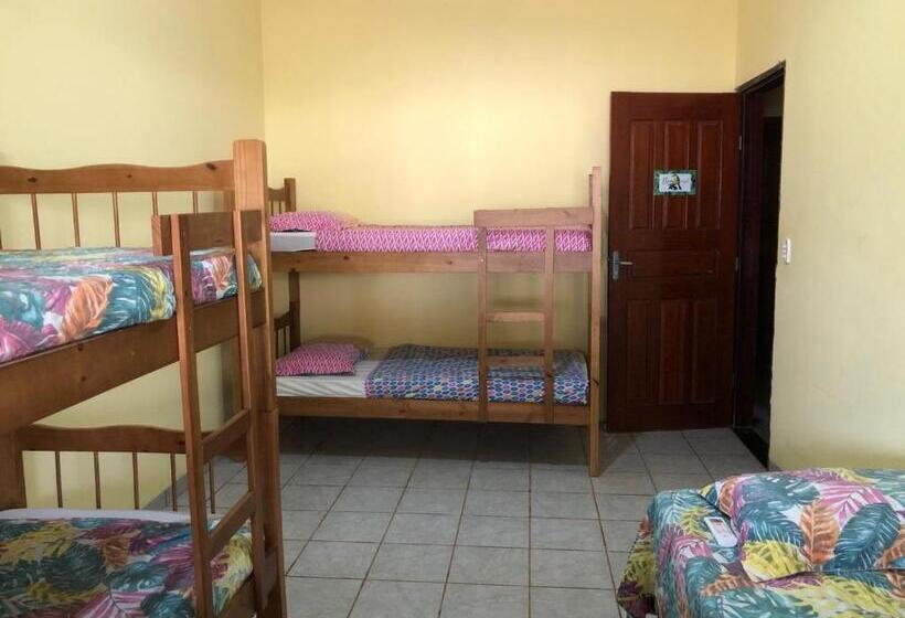 Кровать в Общей Комнате, Oncotô Palmas Hostel