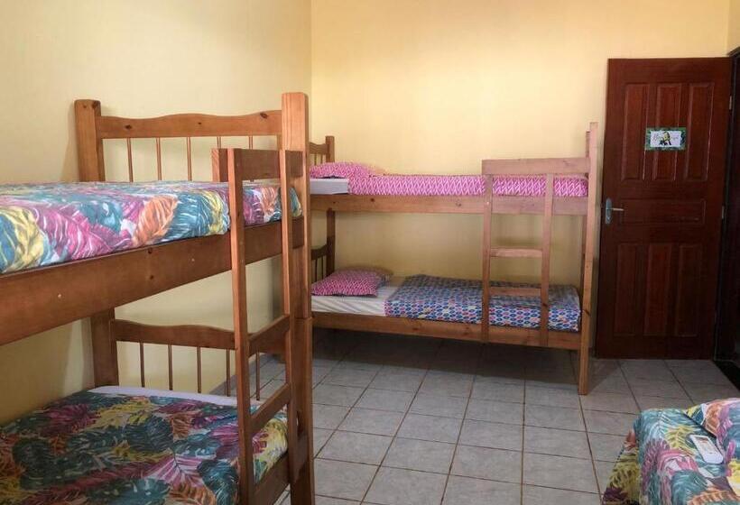 Кровать в Общей Комнате, Oncotô Palmas Hostel