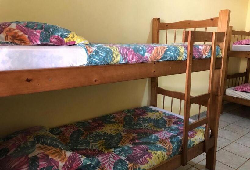 Кровать в Общей Комнате, Oncotô Palmas Hostel