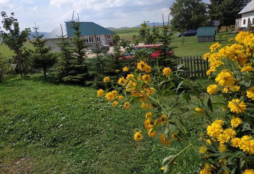 اتاق استاندارد با سرویس بهداشتی مشترک, Kovcica Rooms