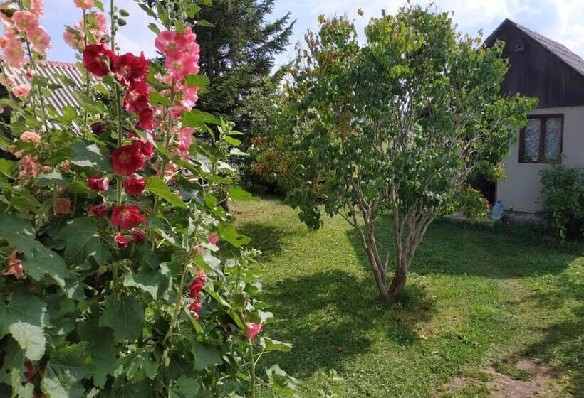 اتاق استاندارد یک تخته با سرویس بهداشتی مشترک, Kovcica Rooms