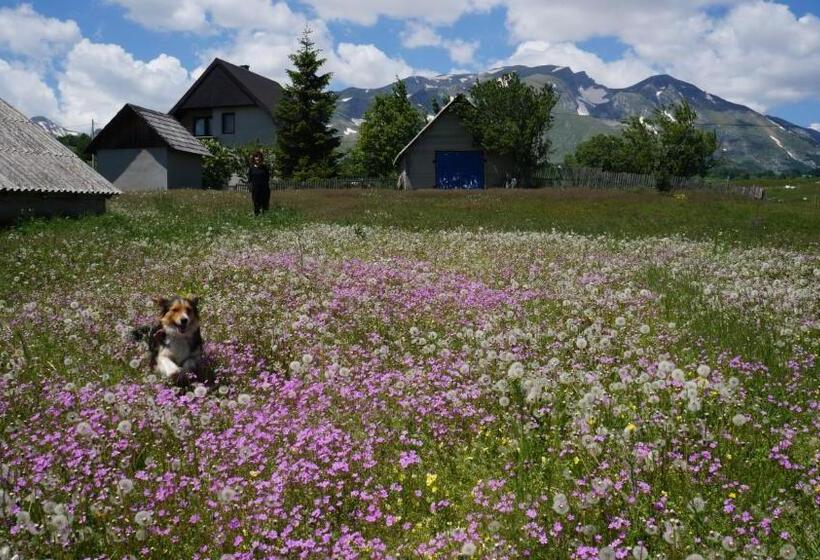 اتاق استاندارد یک تخته با سرویس بهداشتی مشترک, Kovcica Rooms