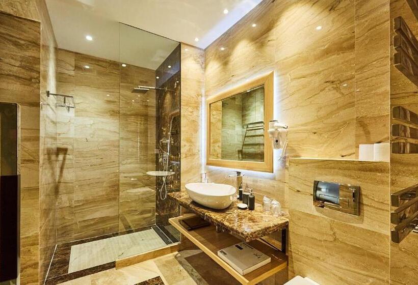 اتاق سوپریور, A Hoteli   Hotel Park