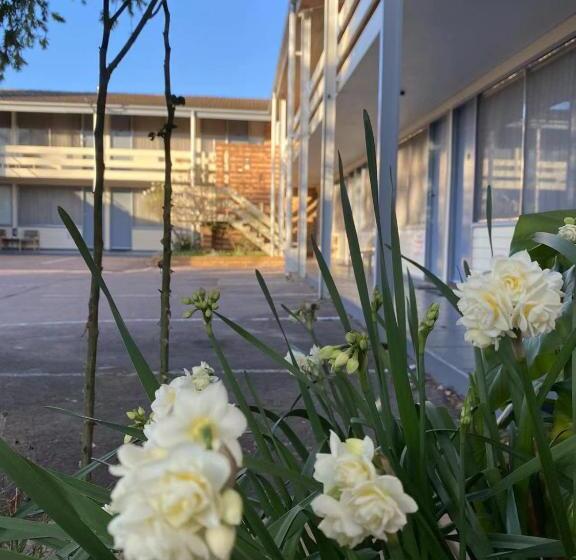 חדר סטנדרט, Gateway Motor Inn