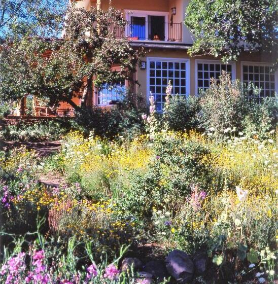 جناح مطل على البحيرة, Blue Lake Ranch