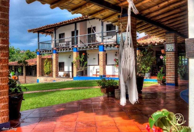 اتاق سوپریور, Bosques Del Saman Alcala